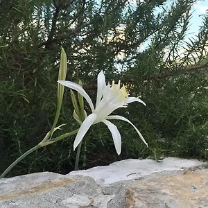 Ca' Di Bianca , Moneglia Italia